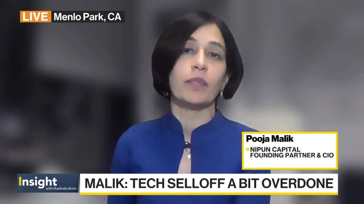 Investors Are 'Trying to Line Up Fundamentals,' Nipun Capital's CIO Says.