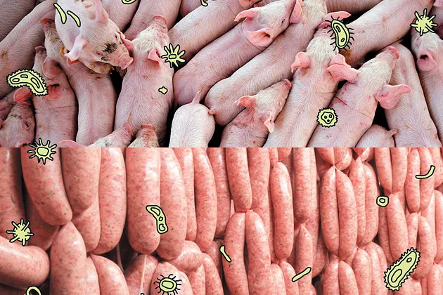 Animal Antibiotics: FDA Rules Criticized as Weak as McDonald's