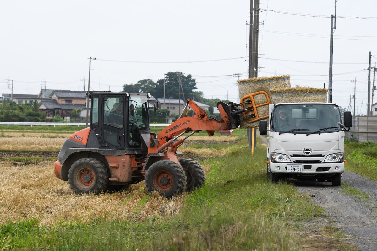 bloomberg.com - Tsuyoshi Inajima - Japan's Farms and Buses Struggle to Find Fuel Due to War Disruption