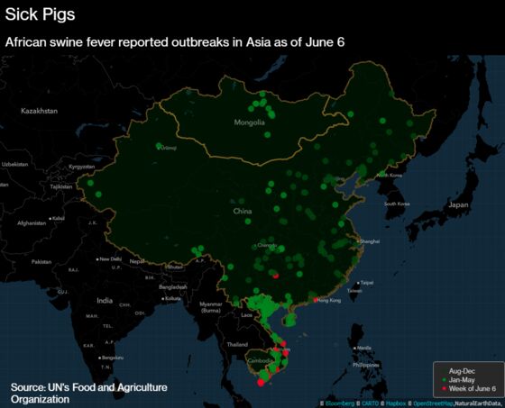 China Could Feel Swine Fever Blow for Next Decade, Cargill Says