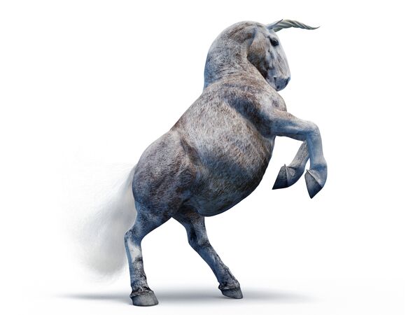 relates to There Are Now 1,000 Unicorn Startups Worth $1 Billion or More