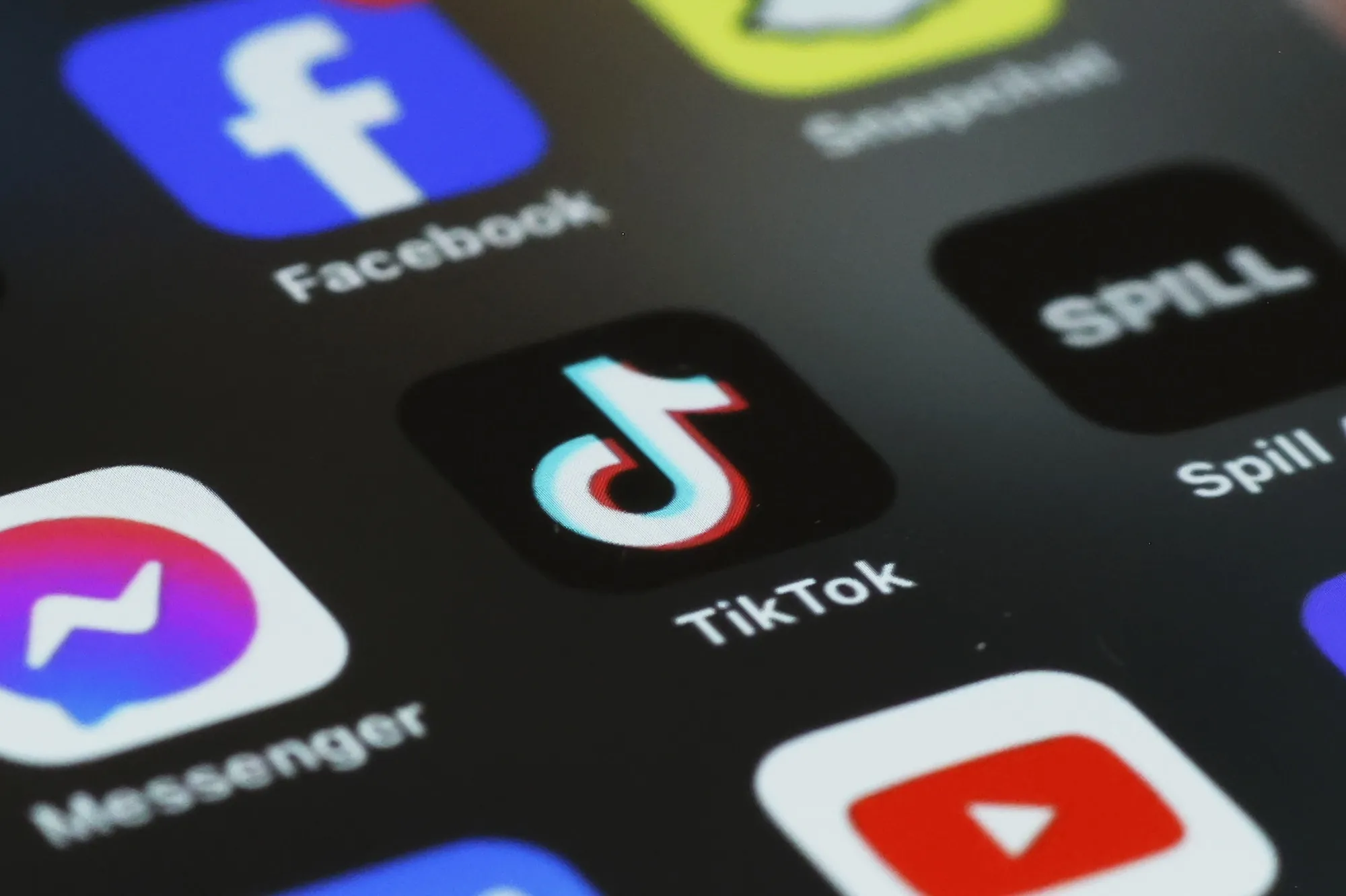 The TikTok app.