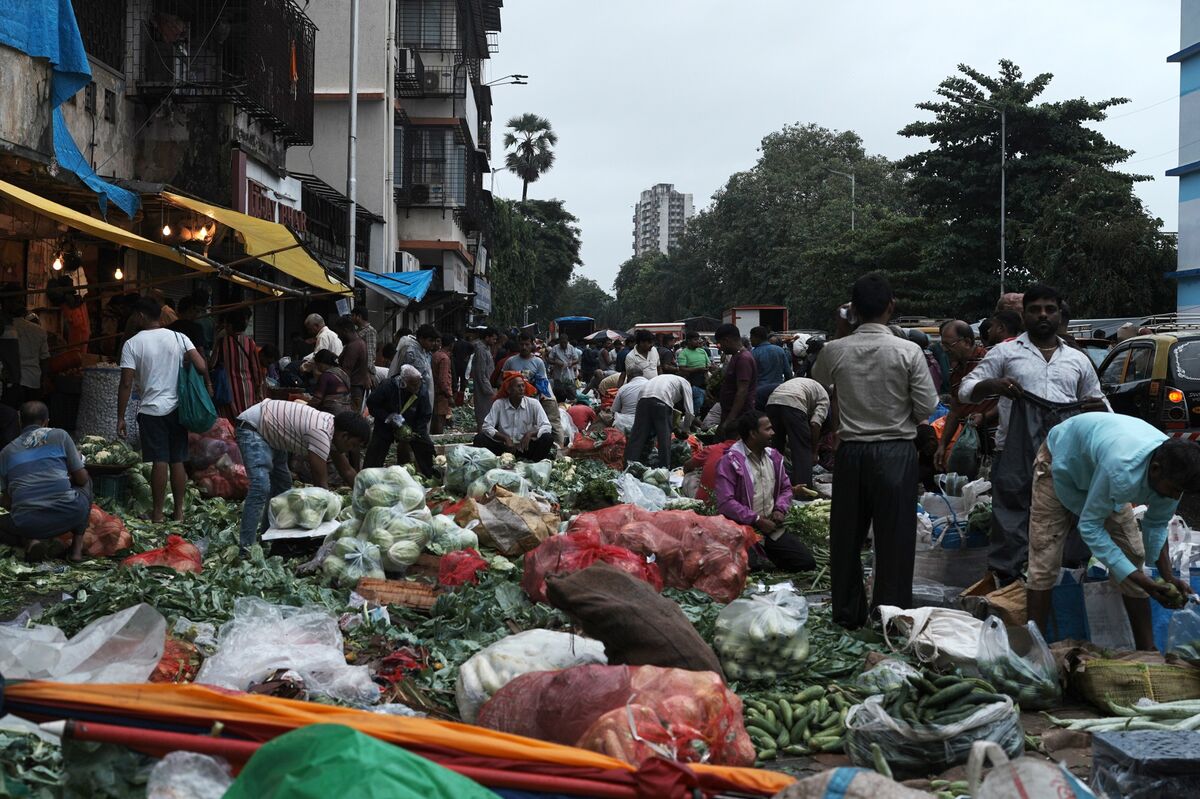 World Bank’s IFC Pledges Capital for Global Firms’ India Push