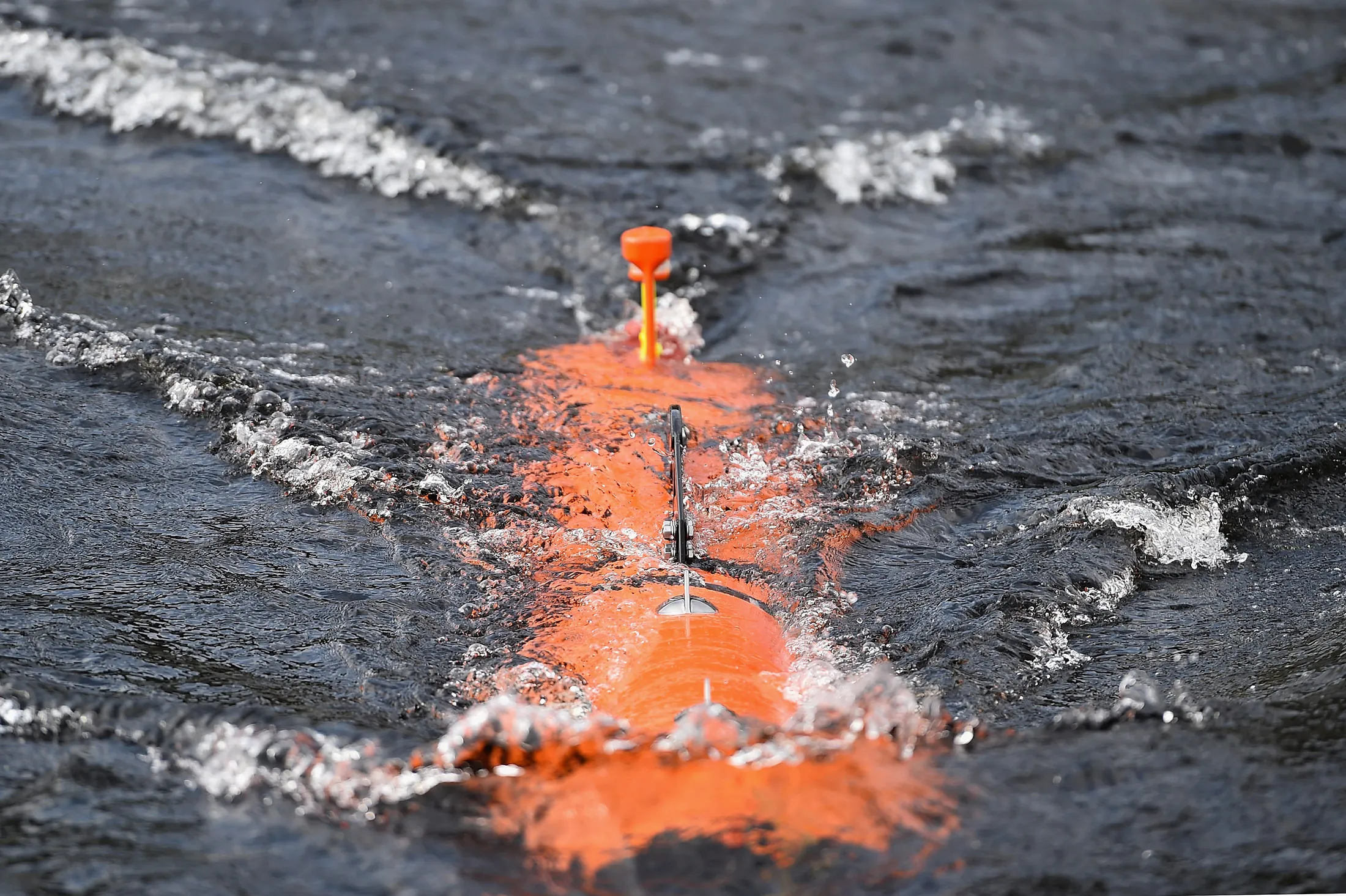 "Loch Ness Monster" Found