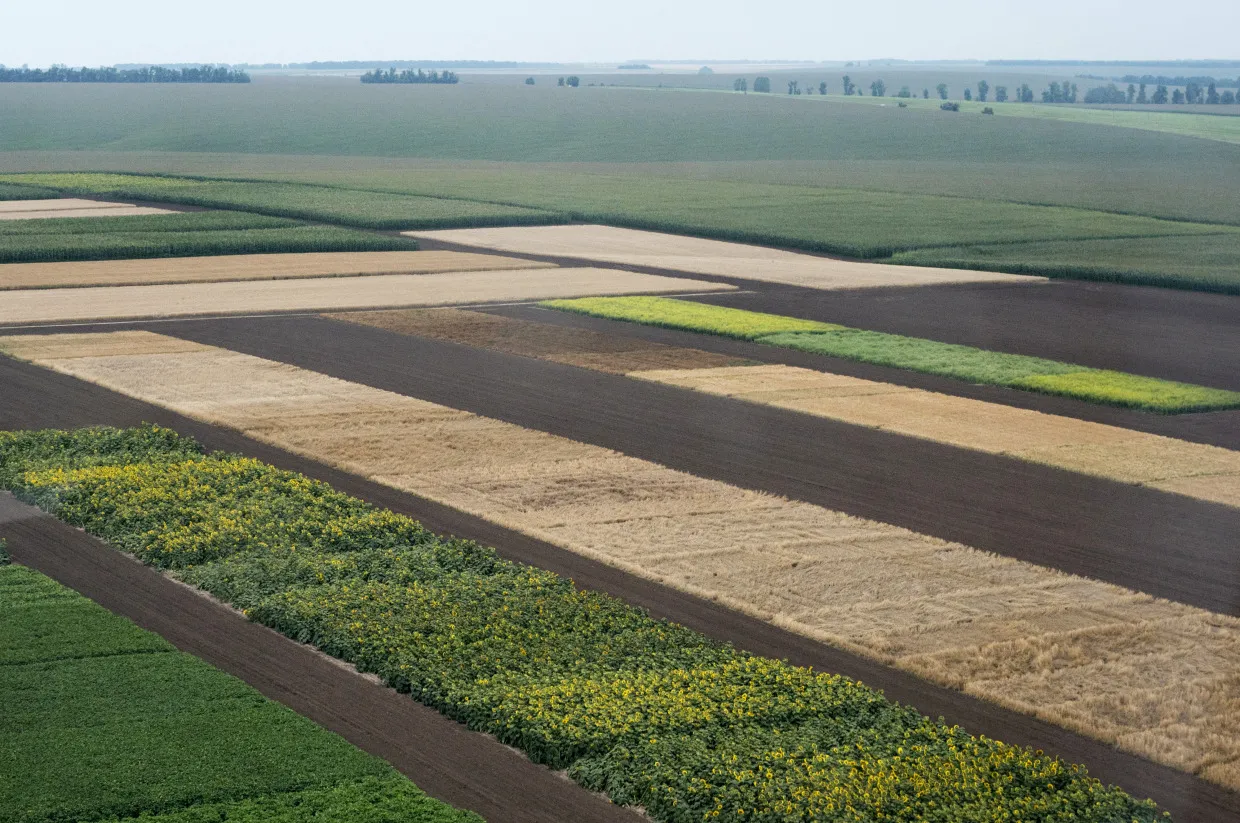 Half of Ukraine Land Needs Inspection for Mines, Highlighting Farming ...