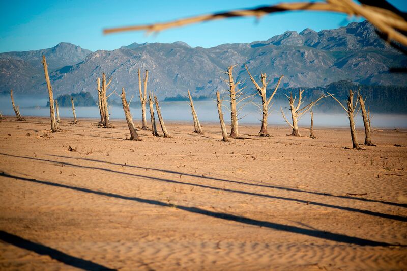 Image result for capetown lack of water images