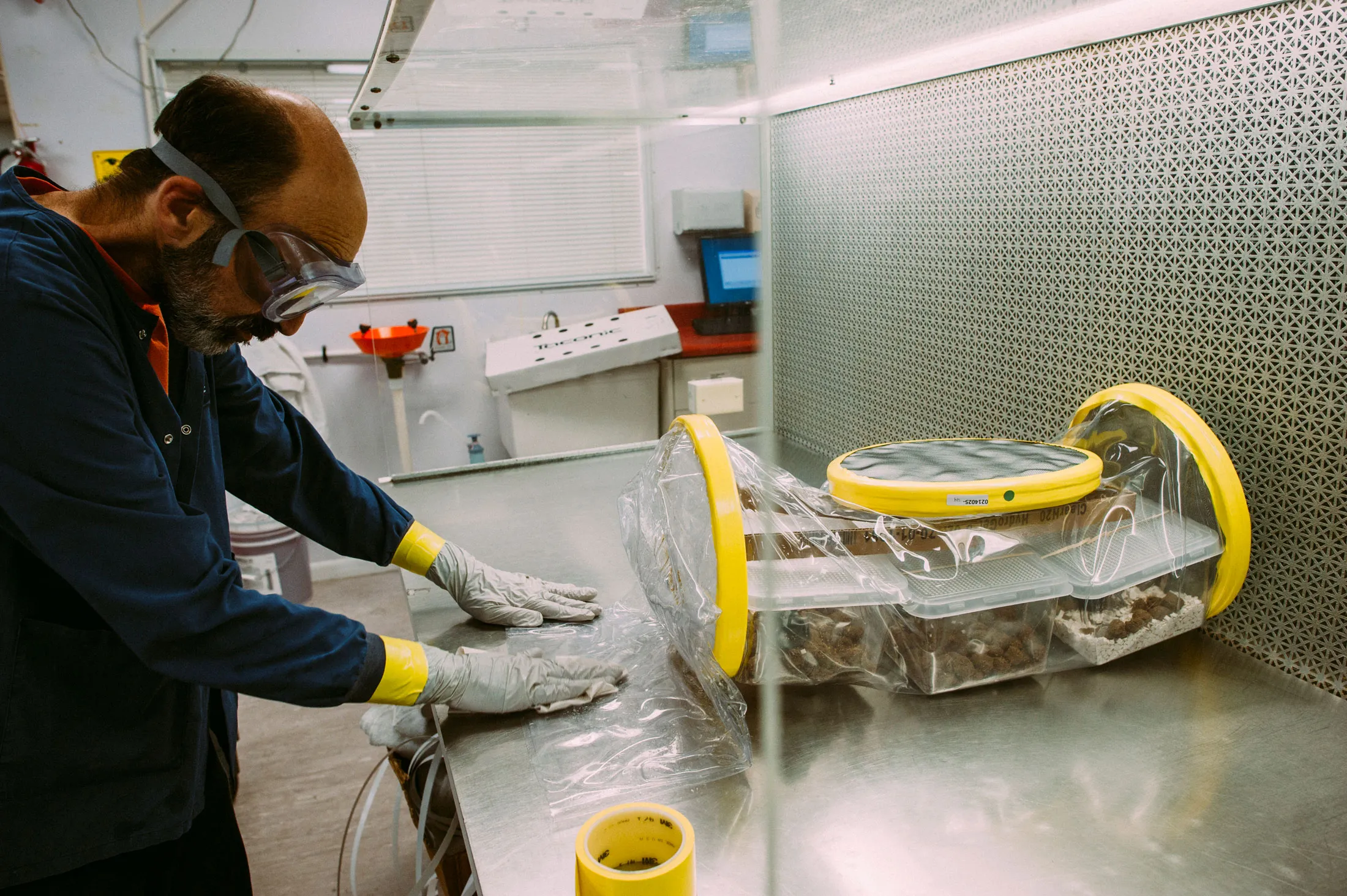 A plastic cylinder holds the lab mice for shipment.
