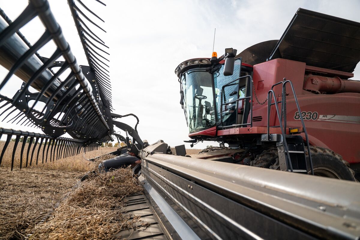 US Farmers Say $12 Billion Bailout Won’t End Industry Slump