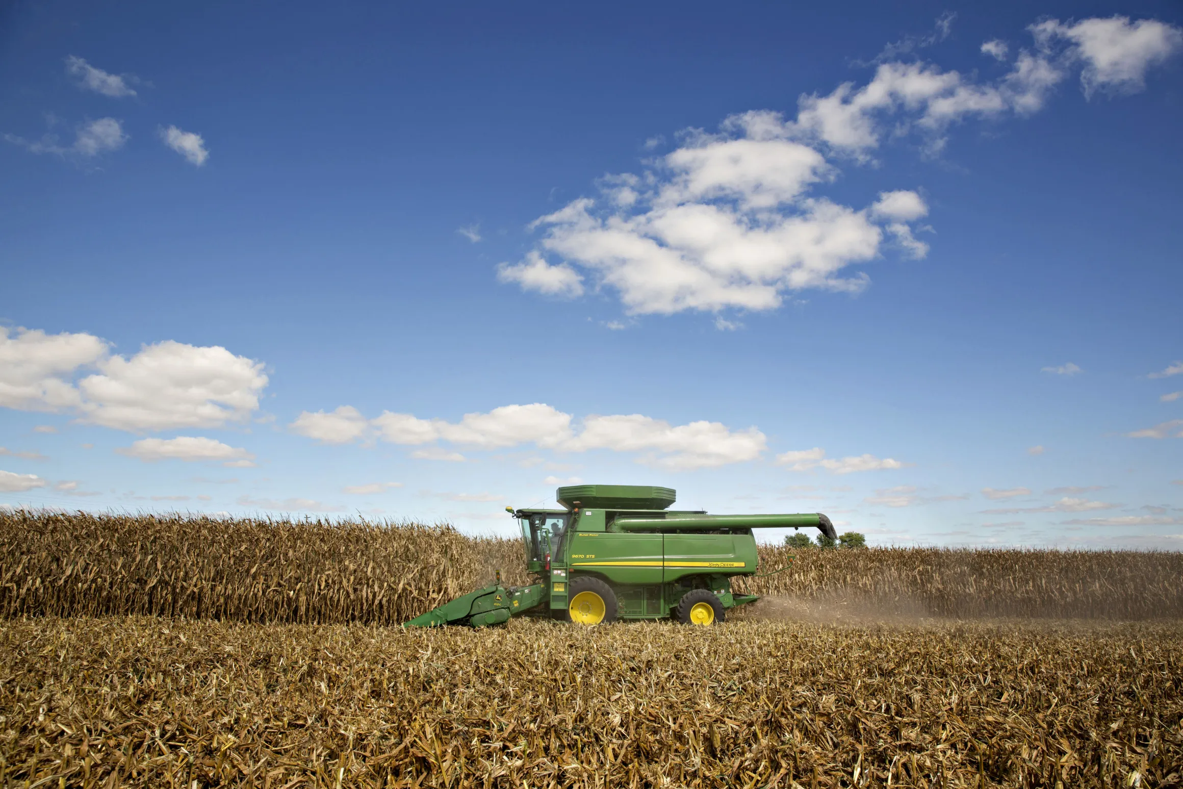 Corn is harvested&nbsp;in Malden, Illinois.