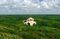 treehouse-hotels-bloomberg-papaya-playa-04