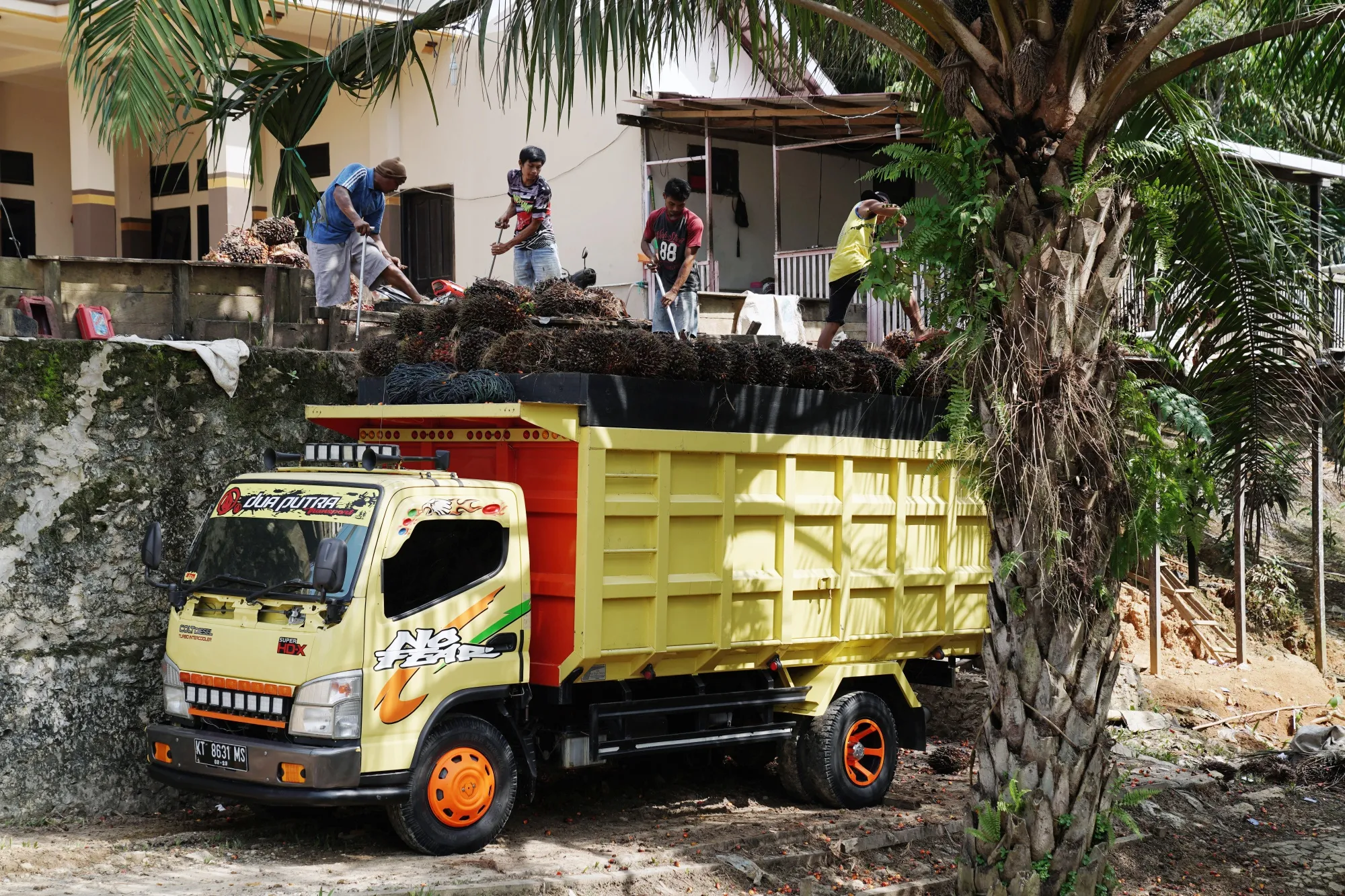 Workers load harvested palm oil fruit bunches into a truck in East Kalimantan, Borneo, Indonesia.