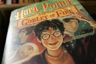 Harry Potter GETTY Sub