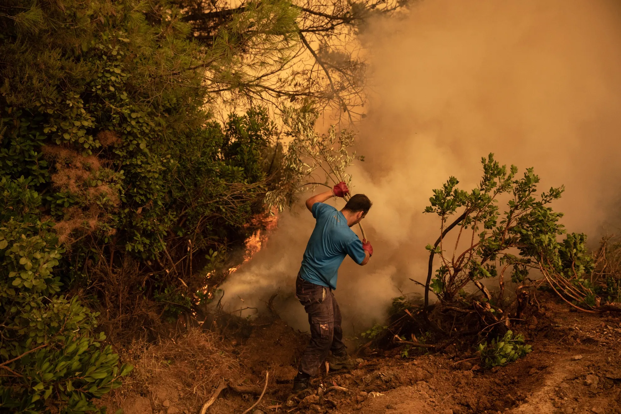 Wildfires Continue To Burn On Evia Island 