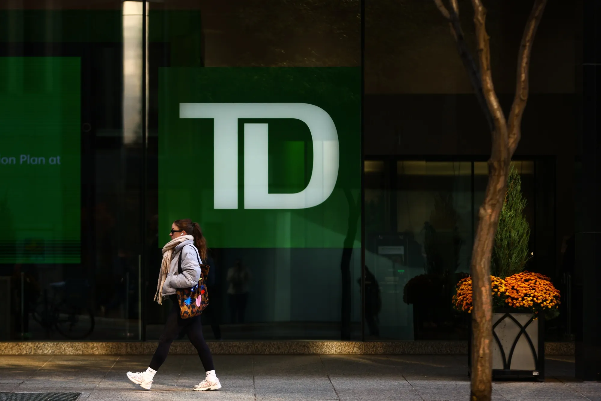 TD Travel and Logistic Limited | Lagos, image size:2000x1334