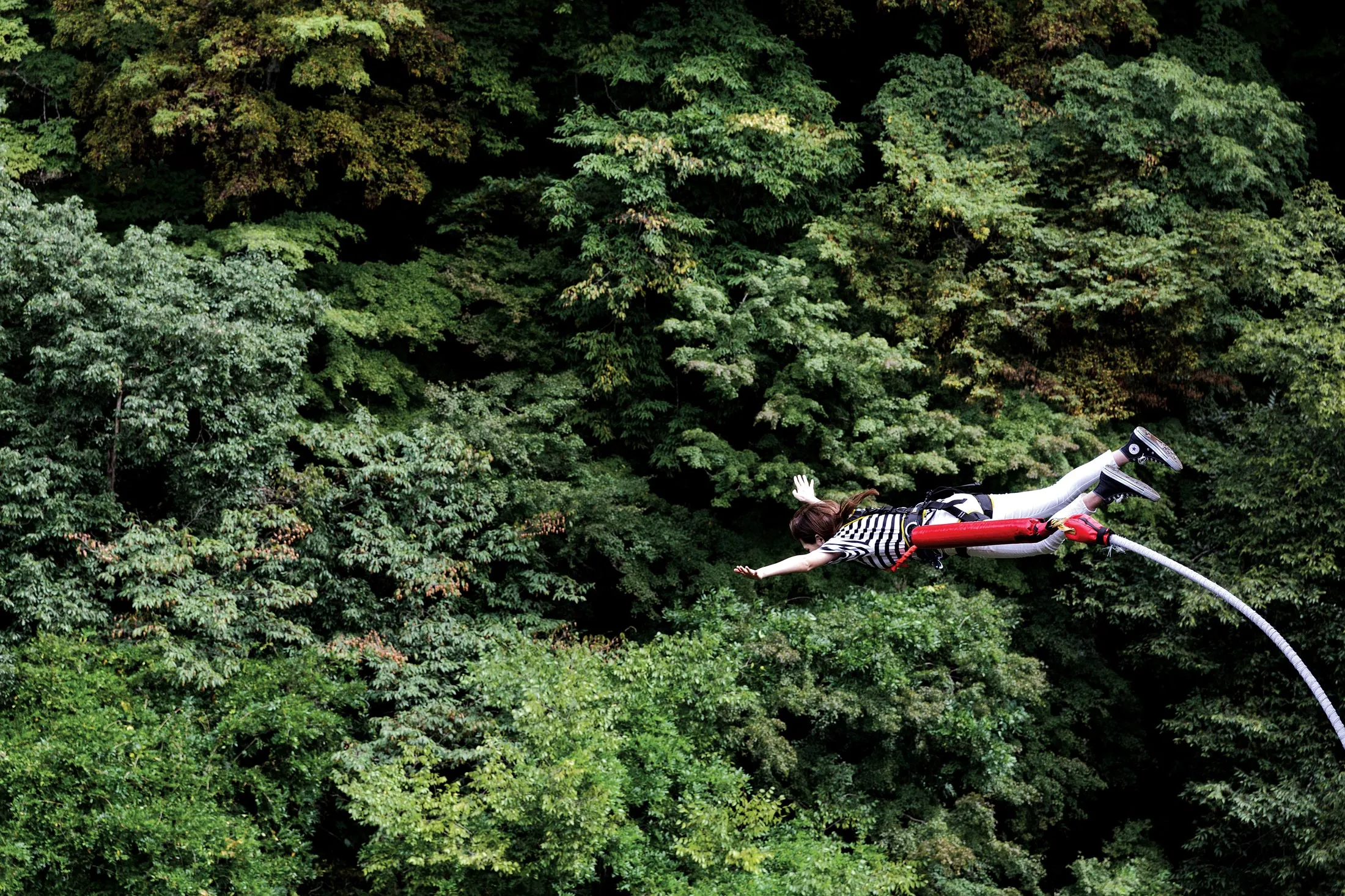 Cashing In on the Fear Factor - Bloomberg