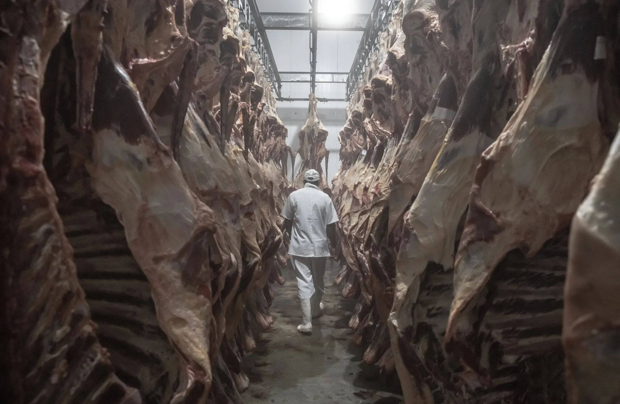 A worker walks past cattle carcasses at a slaughterhouse in Sao Felix do Xingu,&nbsp;Brazil.