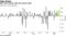 S&P 500 extends rally into second week