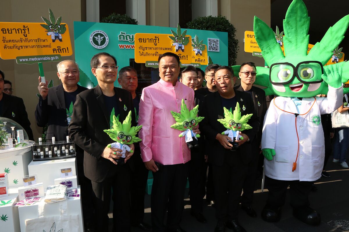 Pot Frenzy Sweeps Thailand as Government Touts Medical Marijuana