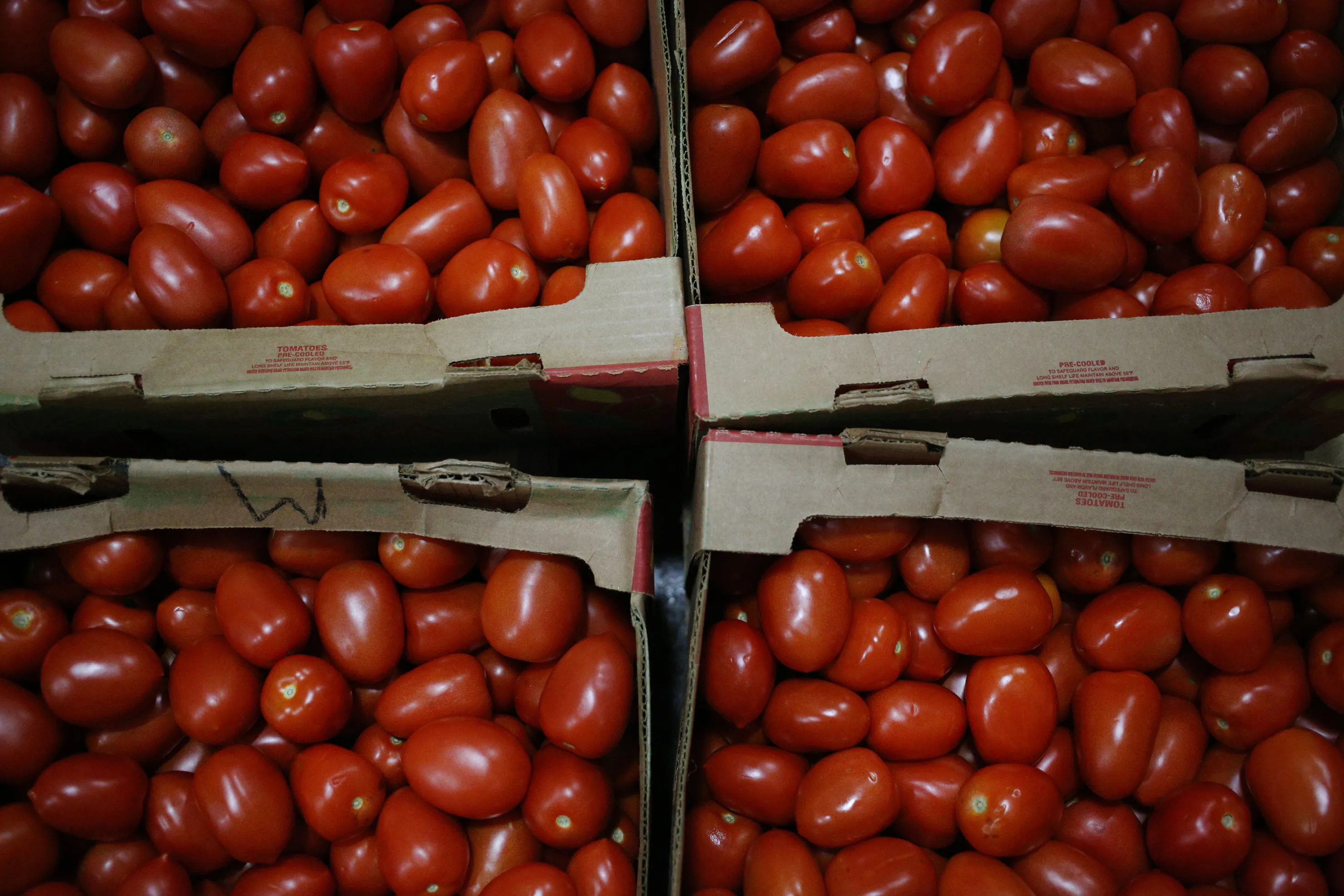 Operations Inside American Wholesale Grocers As Wholesale Inventories Rose