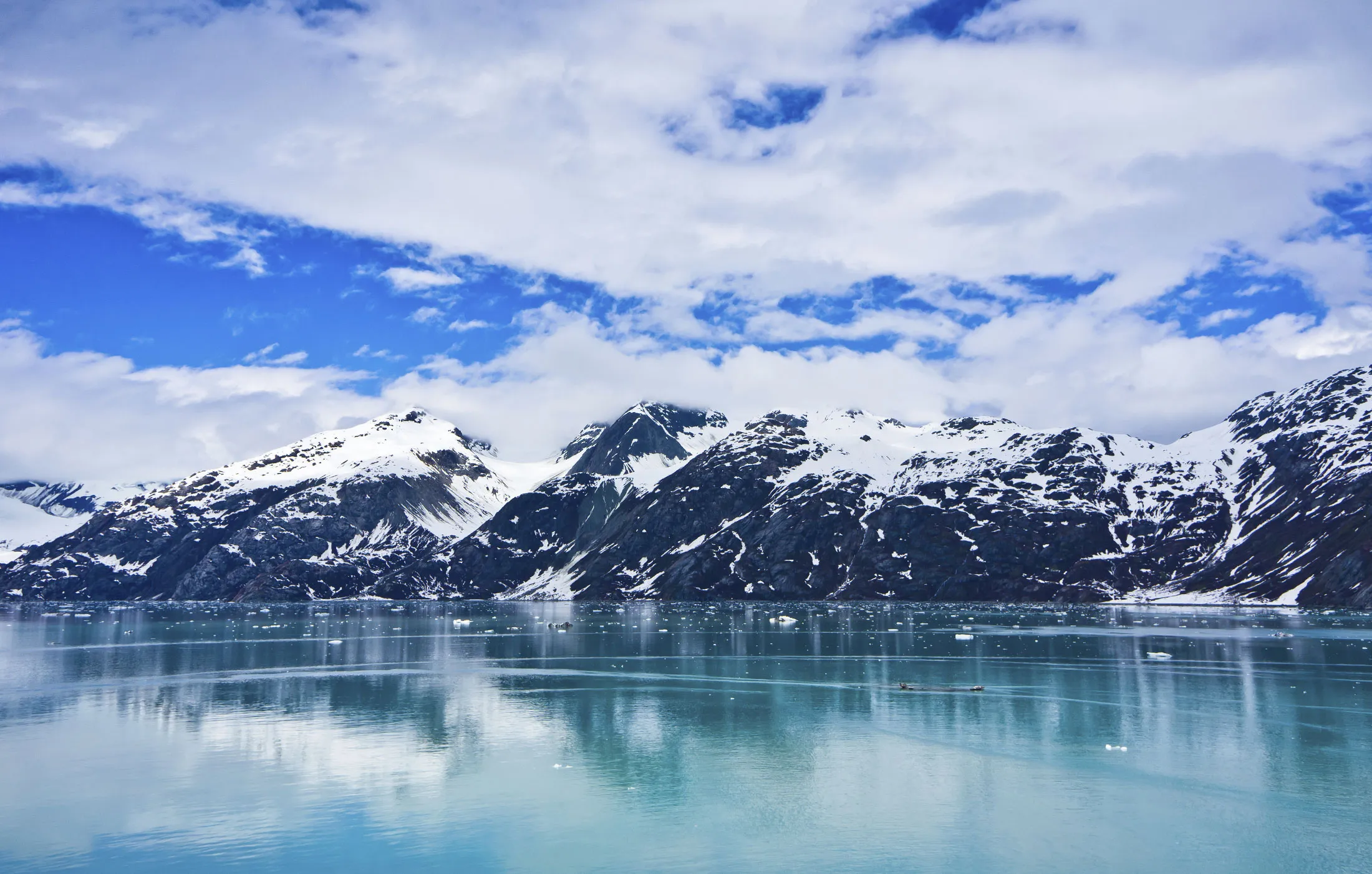 The Alaskan coastline.
