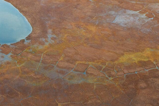 Ice wedges formed by the freeze–thaw cycles of saturated soil create polygonal patterns across the tundra.