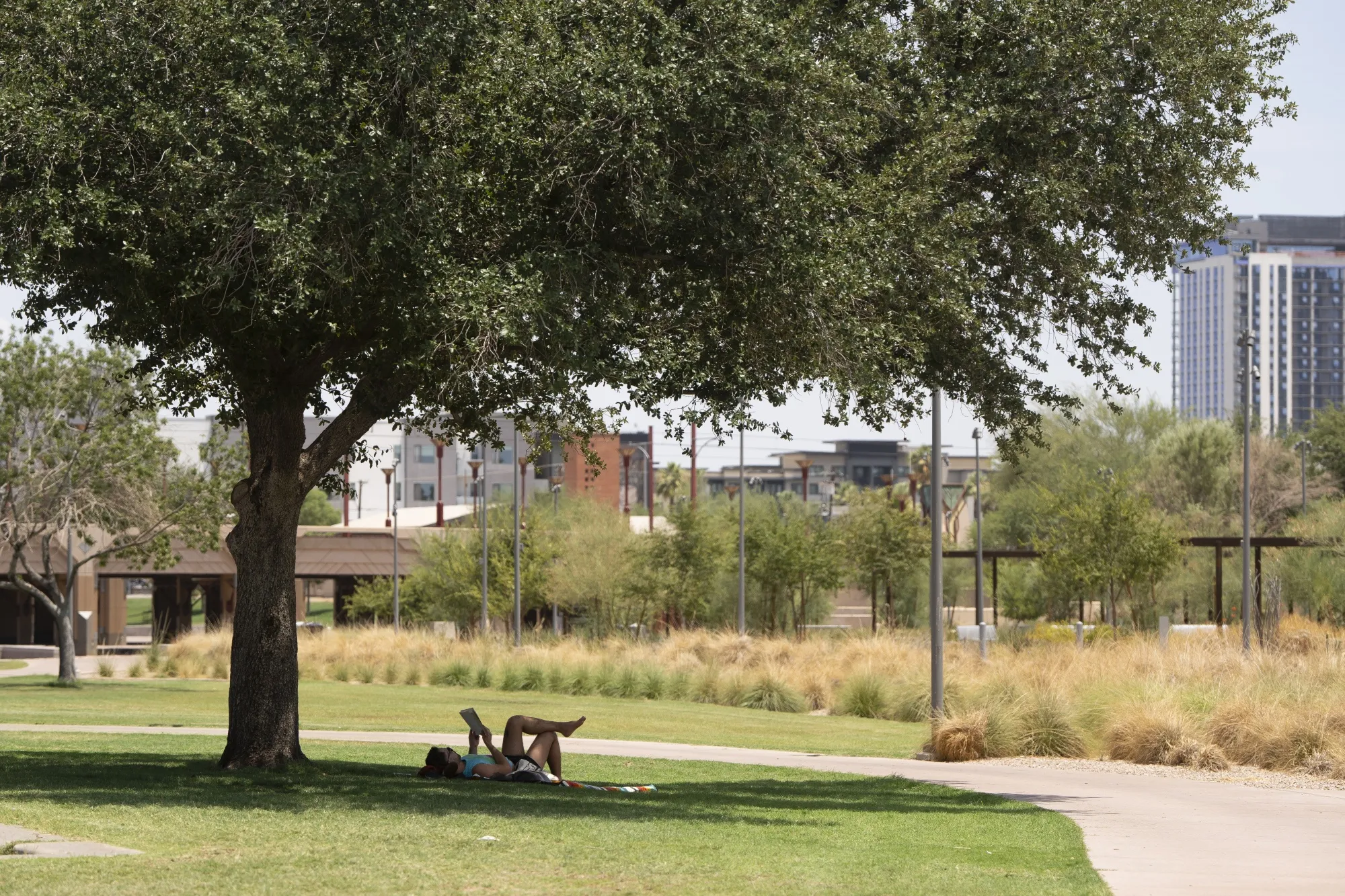 Shade is precious in Phoenix’s Margaret T. Hance Park in July.&nbsp;&nbsp;