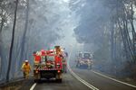 Firefighters work to extinguish a bushfire in Dargan, some 120 kilometres from Sydney in December. Australia had its hottest day on record last year.&nbsp;