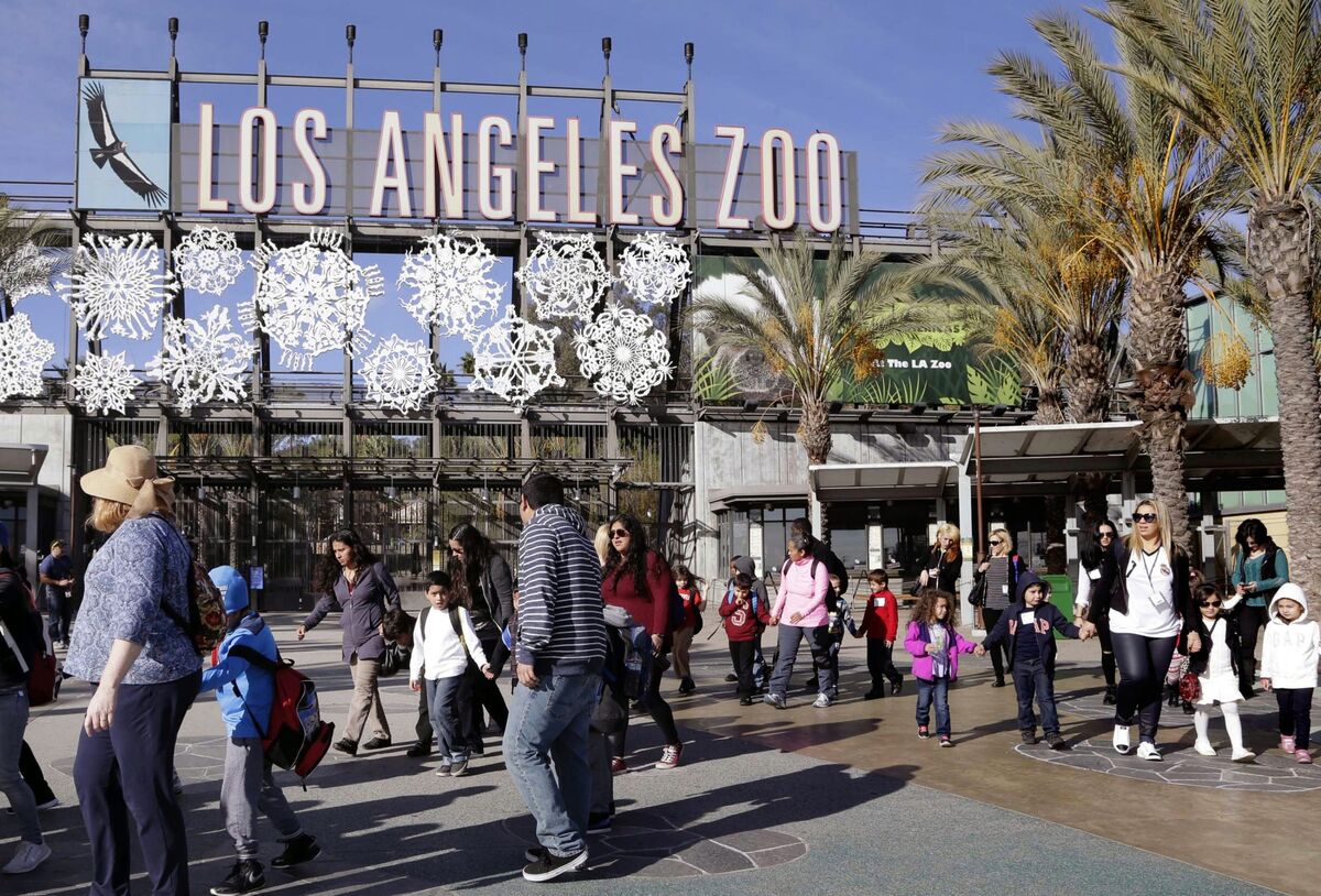 650M Plan Would Give Los Angeles Zoo Flashy Transformation Bloomberg   1200x814 