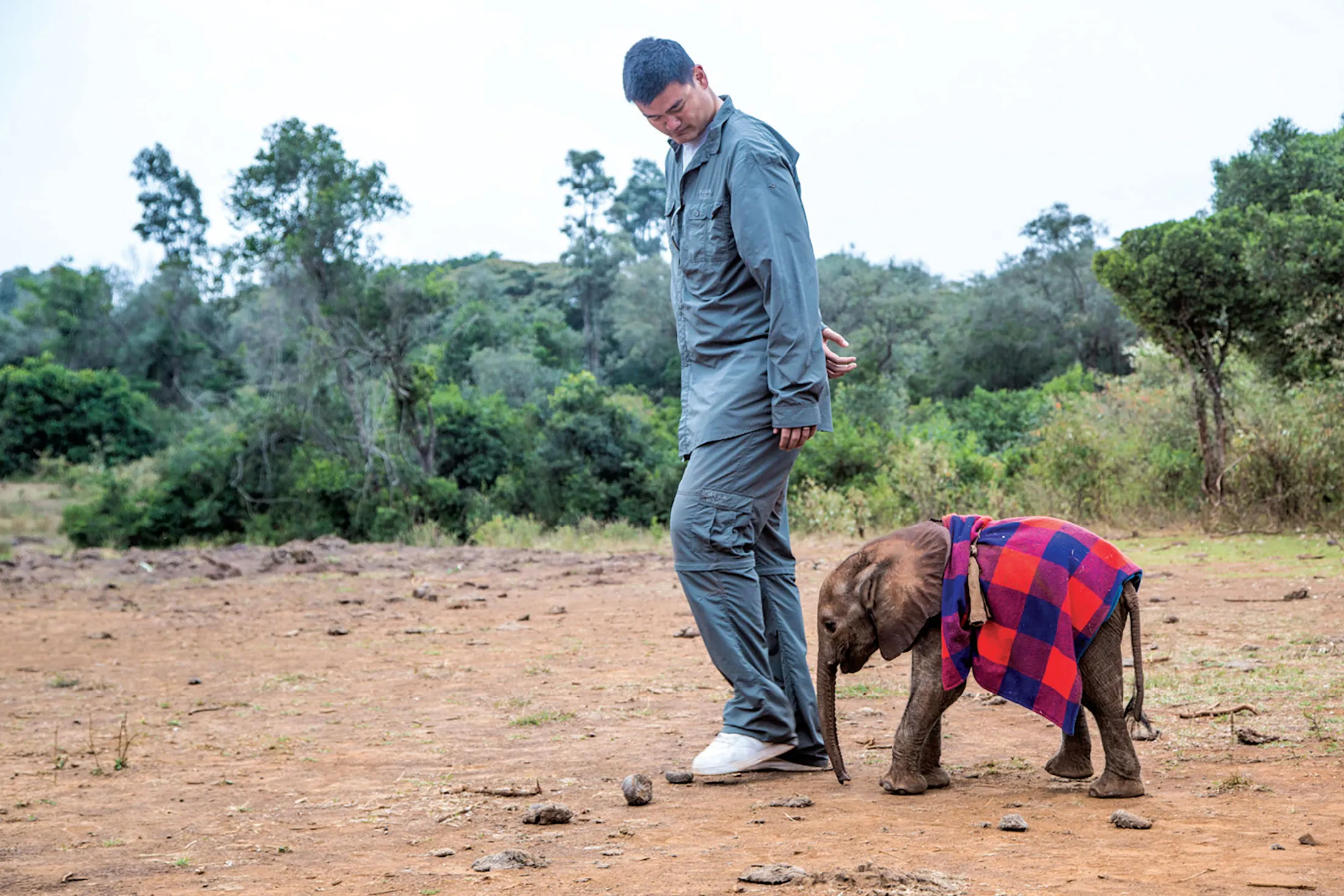 Yao Ming at the David Sheldrick Wildlife Trust elephant orphanage in Kenya.
