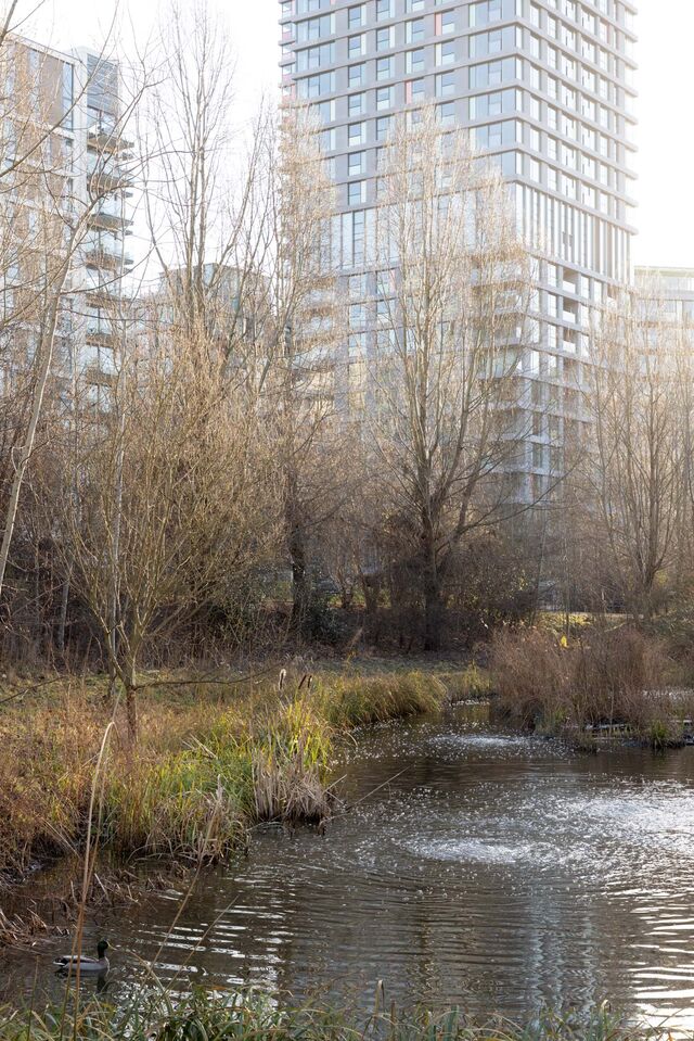 A wetlands area in Queen Elizabeth Olympic Park in London. 