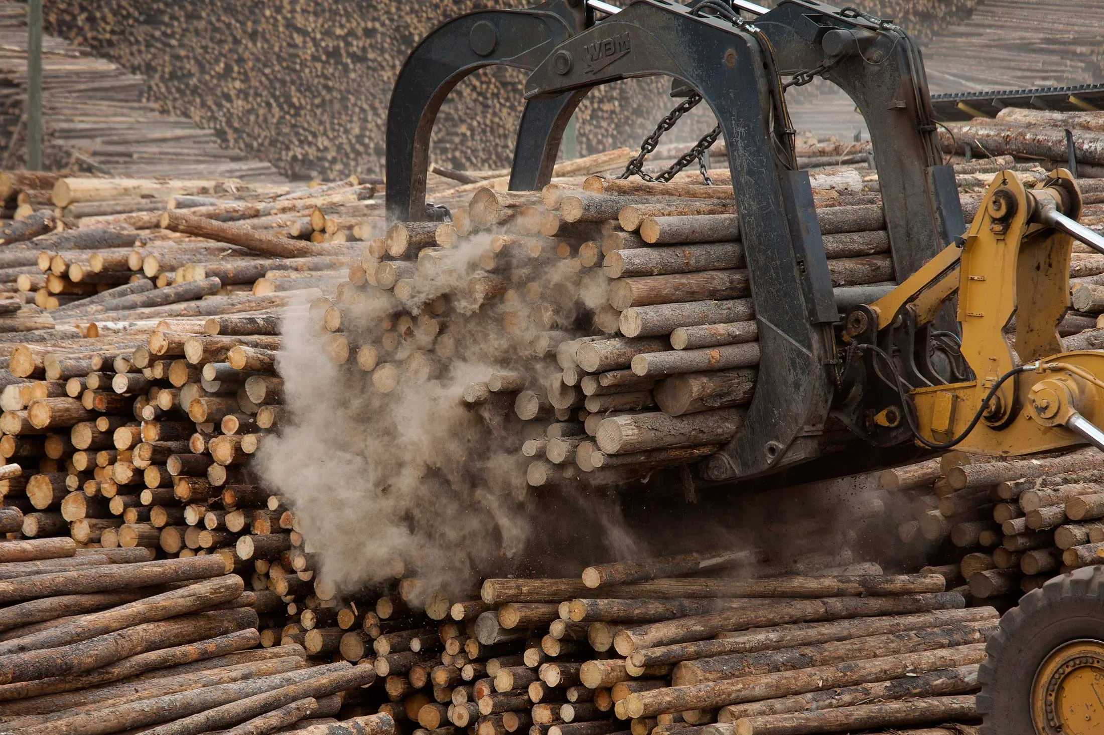 1493159050_Lumber-2-
