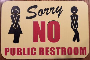 How Public Toilets Explain America