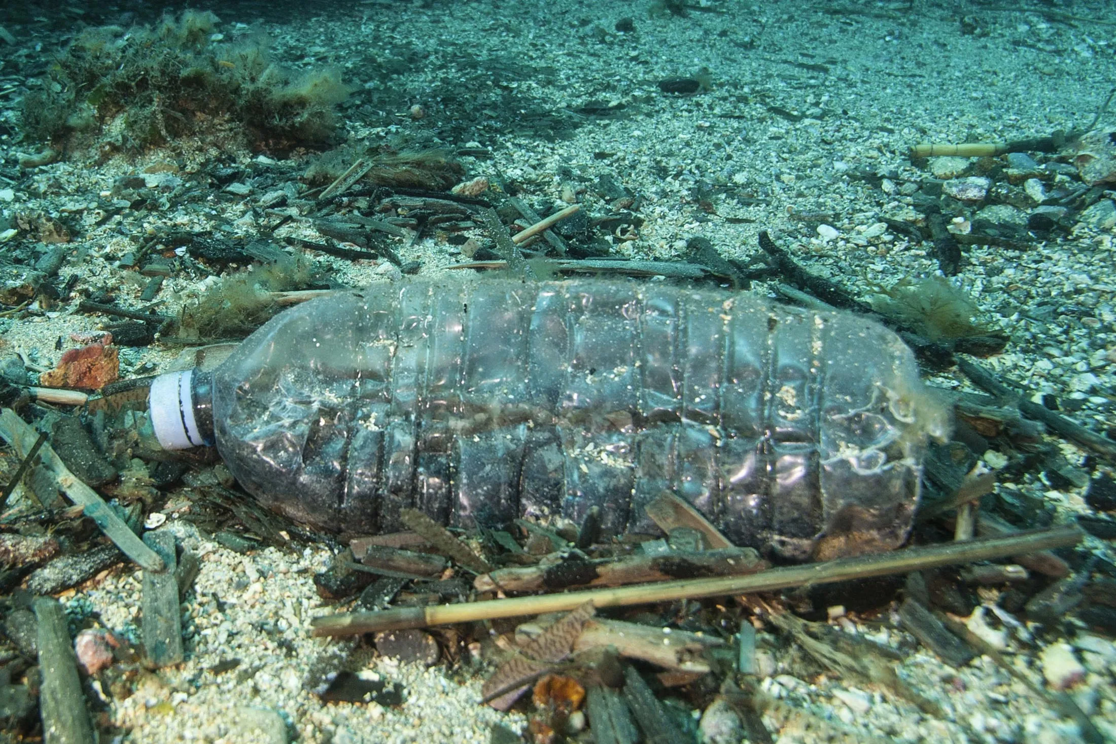 Message in a plastic bottle.