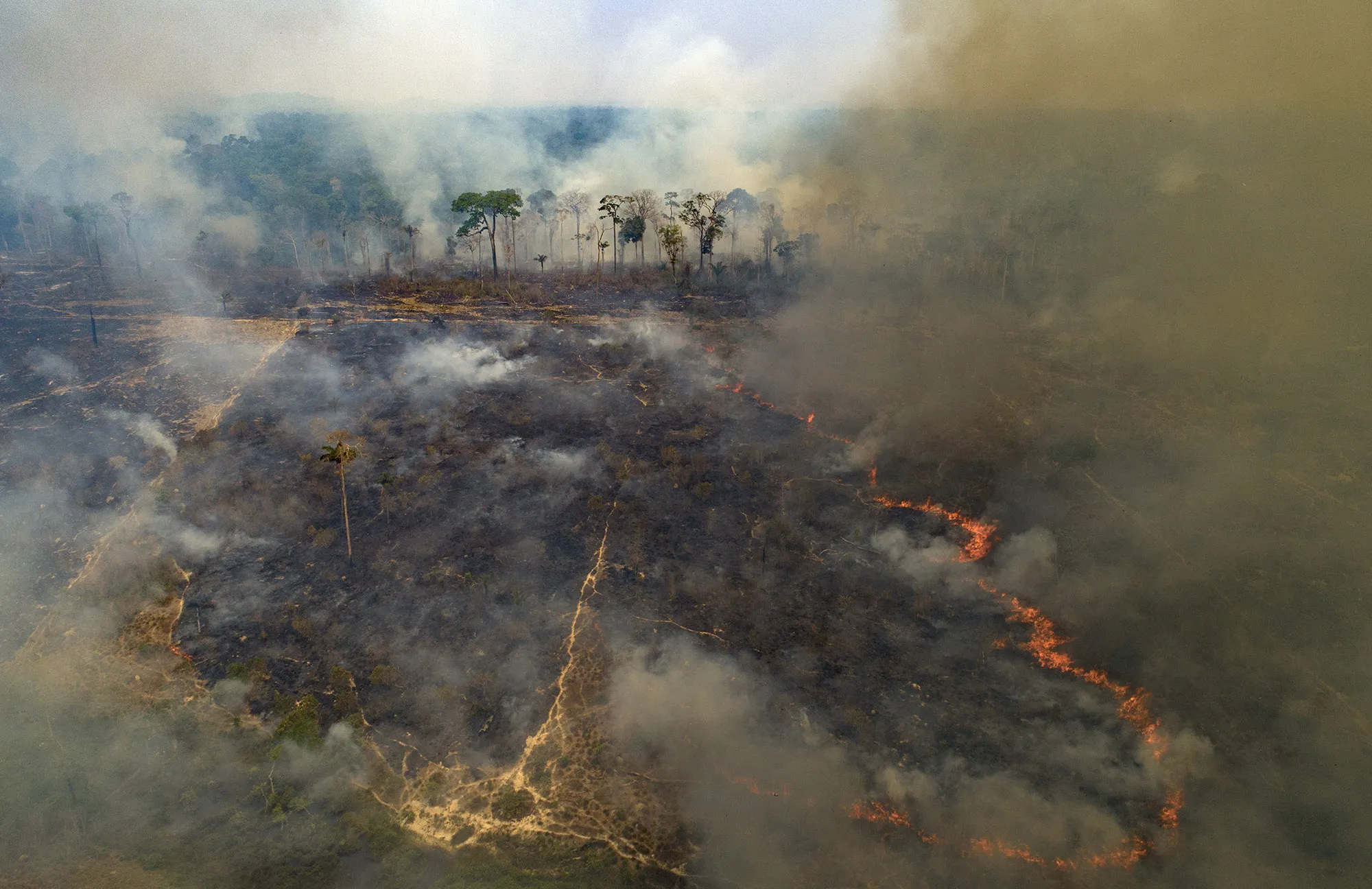 Fire consumes land deforested by cattle farmers near Novo Progresso, Para state, Brazil,&nbsp;2020.