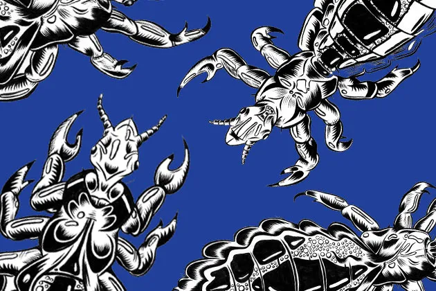 Itching for a Bite of the Lice Business