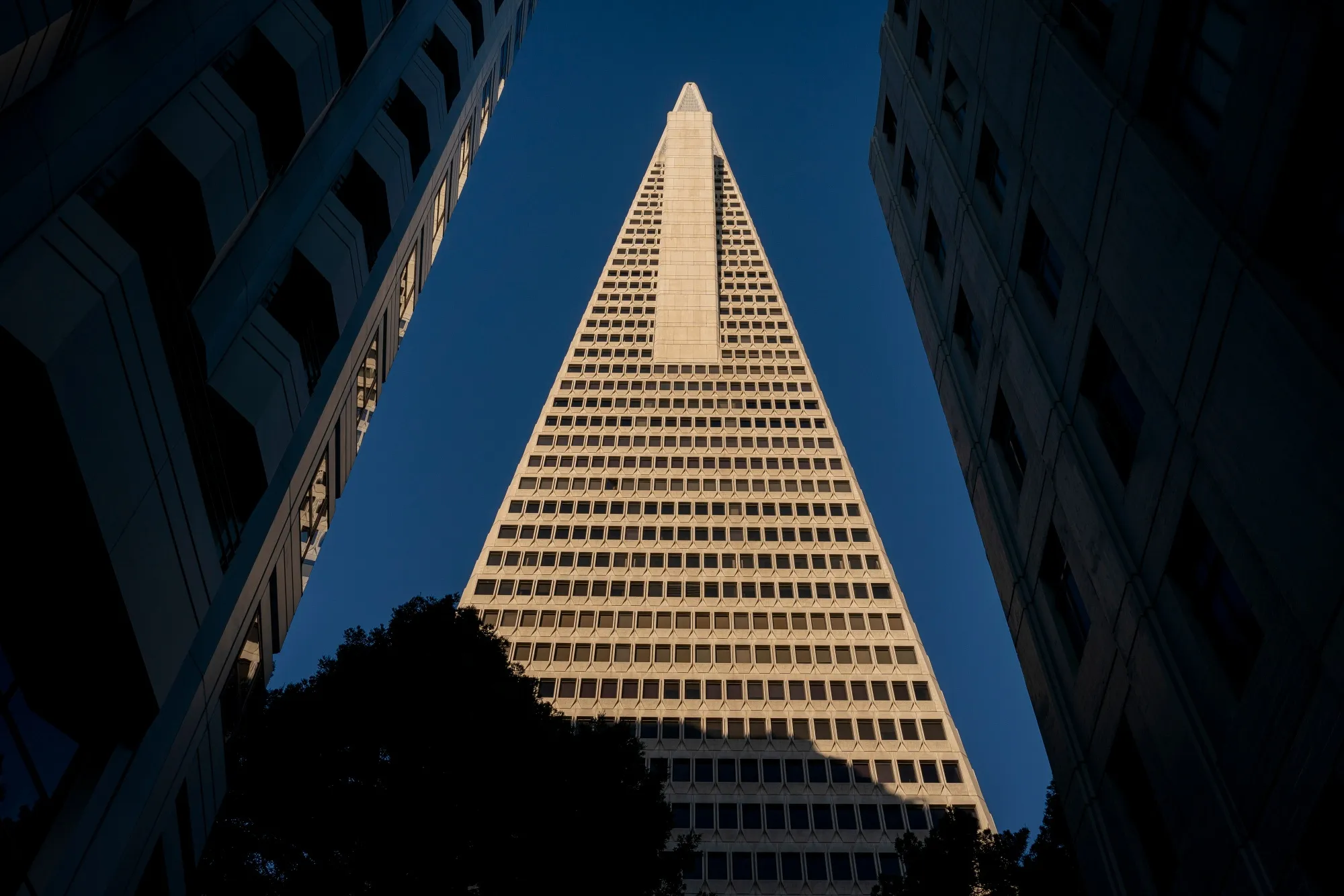 The Transamerica building in San Francisco. 