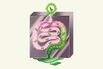 Is This Microbiome Startup Selling a Wellness Fantasy?