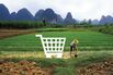 E-Commerce Gives a Lift to China's Rural Farmers
