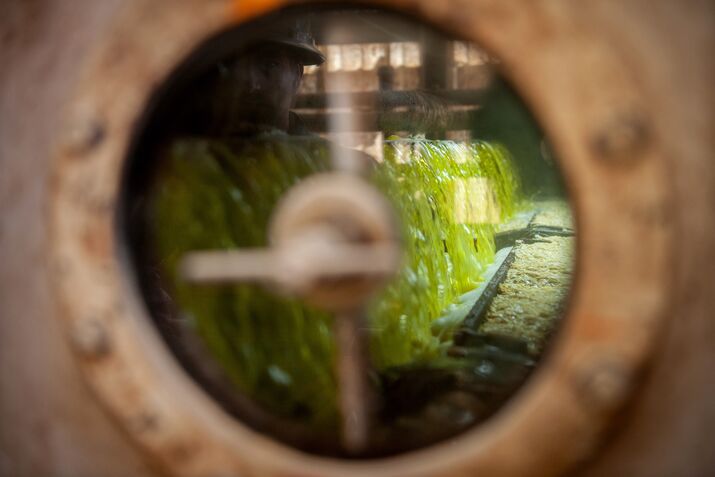 Soybean oil processing.