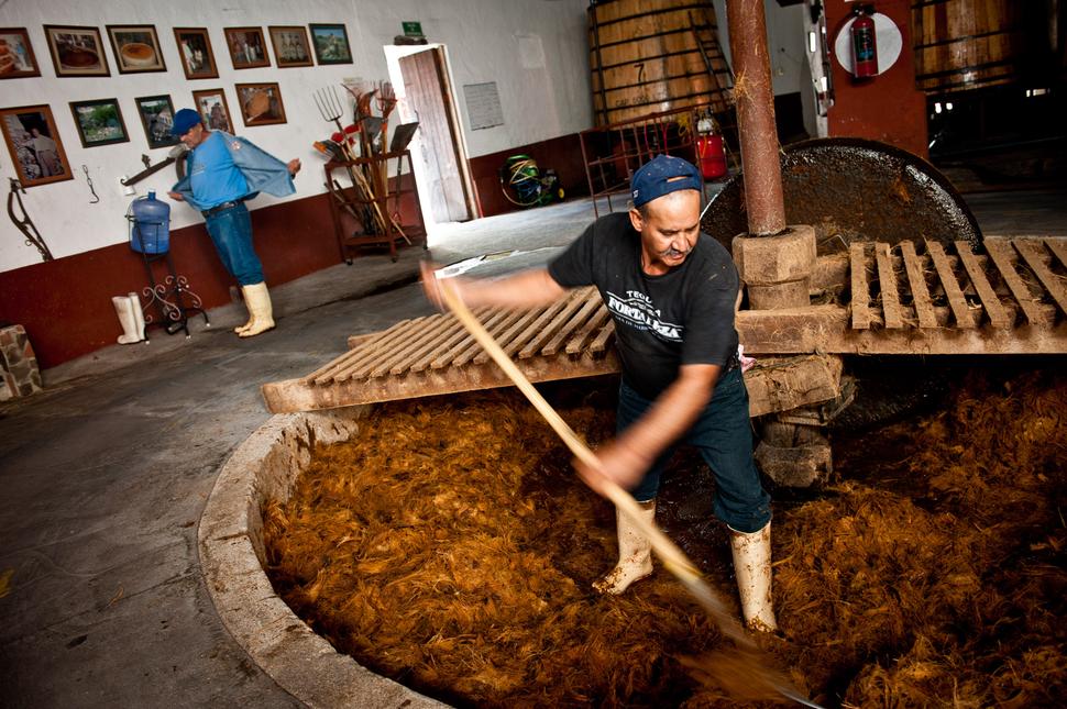 Mexico's Tequila Production Craft Bloomberg