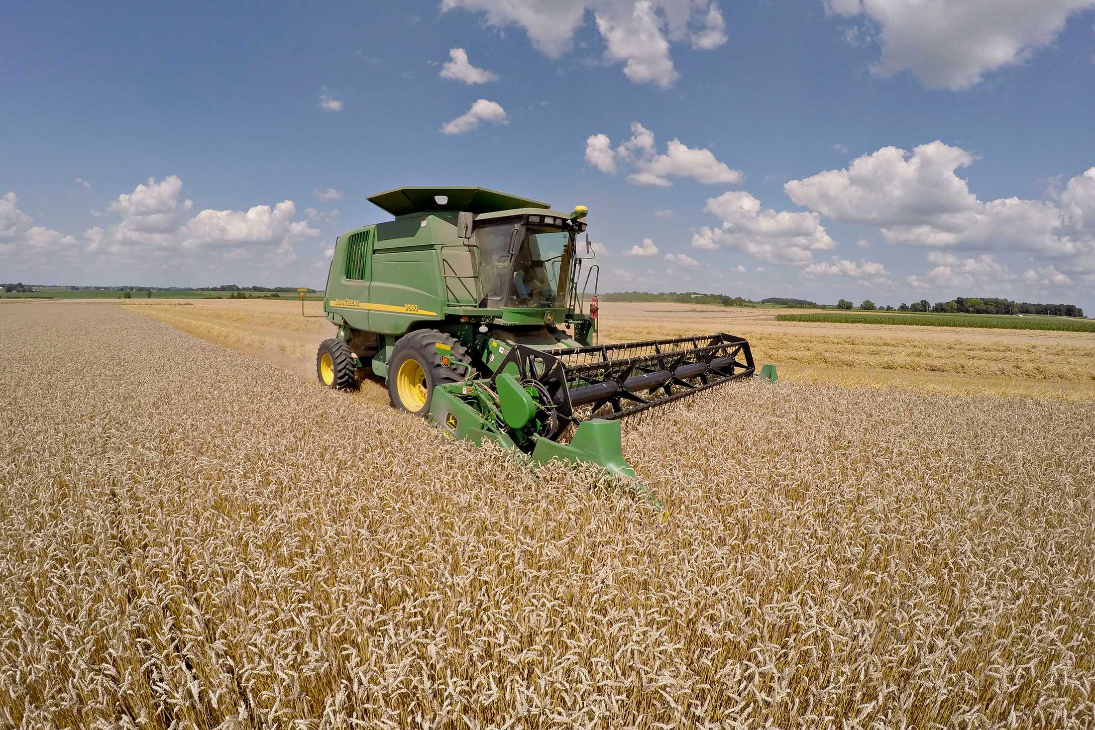 Wheat harvest in Kirkland, Ill., on July 23.
