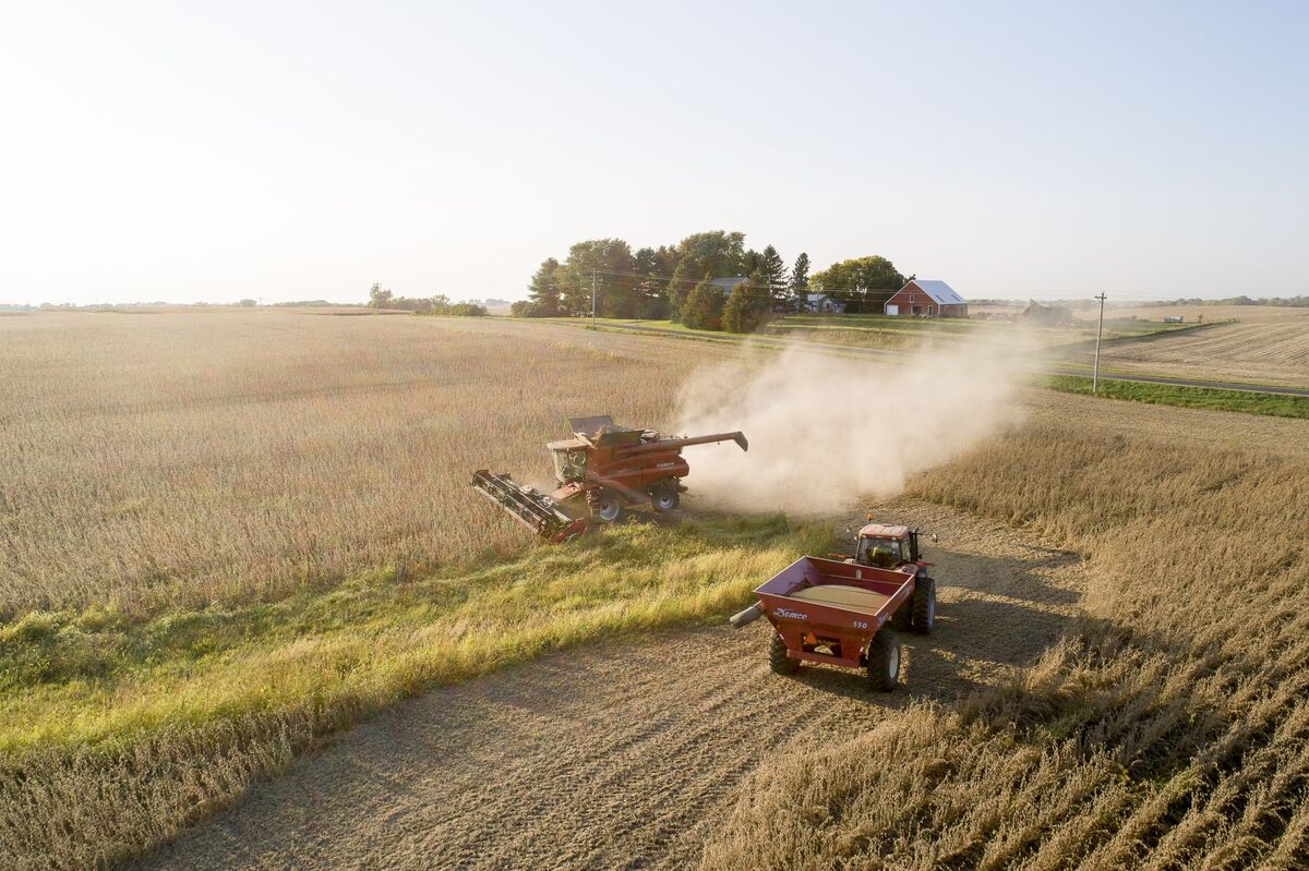 US Grains Ease as Markets Digest Details of Trump-Xi Phone Call
