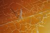 Aerial Views Of Salt Ponds As California Sues EPA Over Reclassification