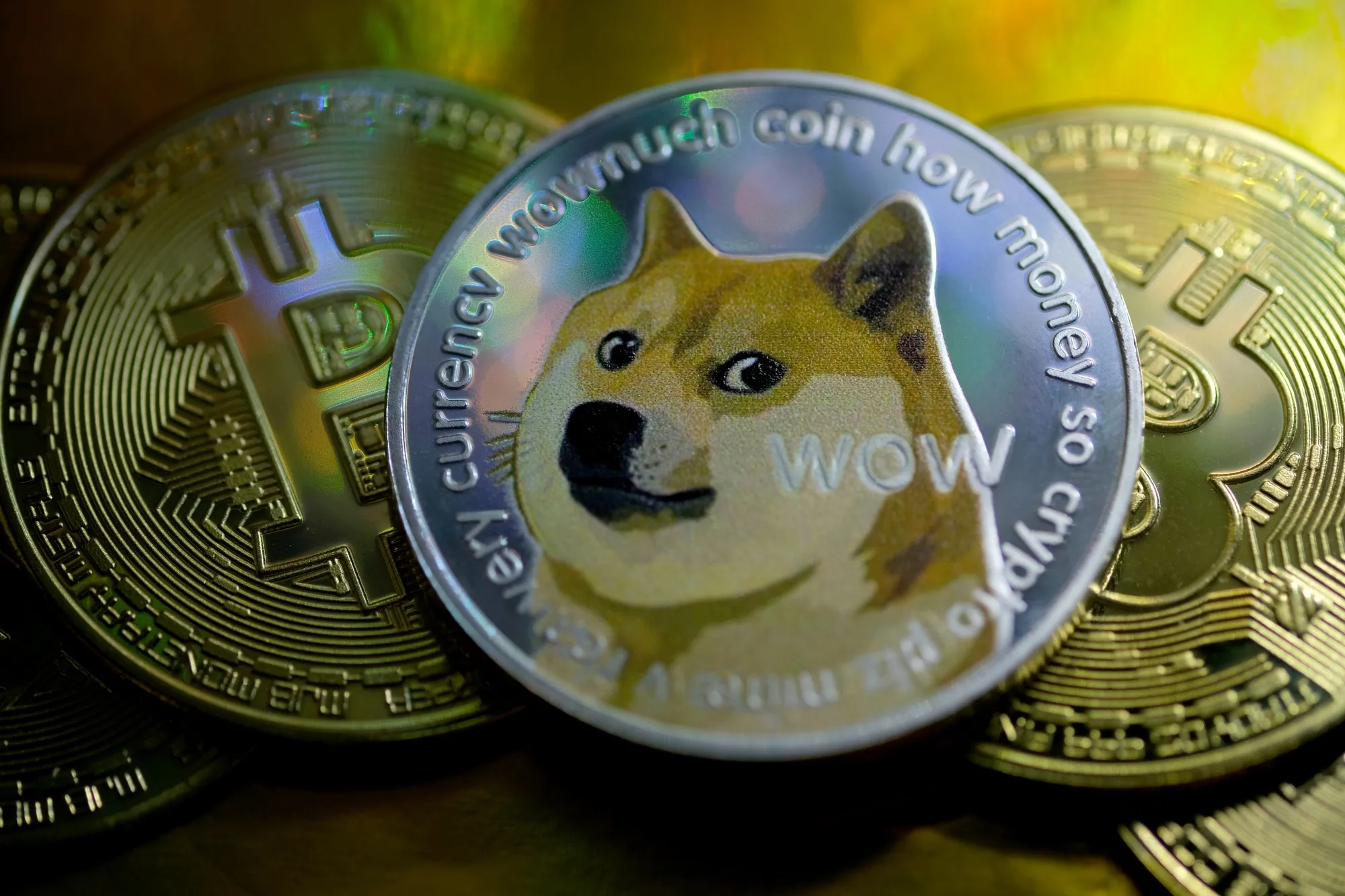 Elon Musk to Support Dogecoin (DOGE) Cryptocurrency Holders Selling Coins -  Bloomberg