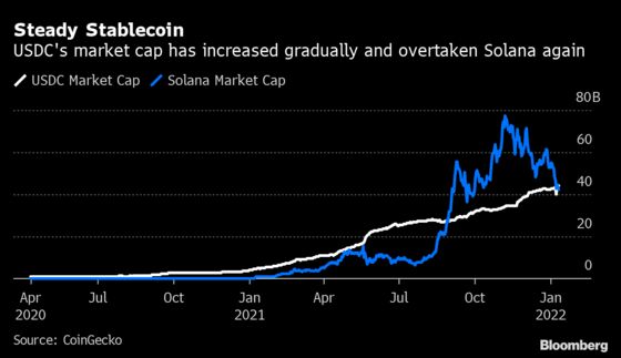 Stablecoins Get Their Moment as Crypto Selloff Drives Yield Hunt