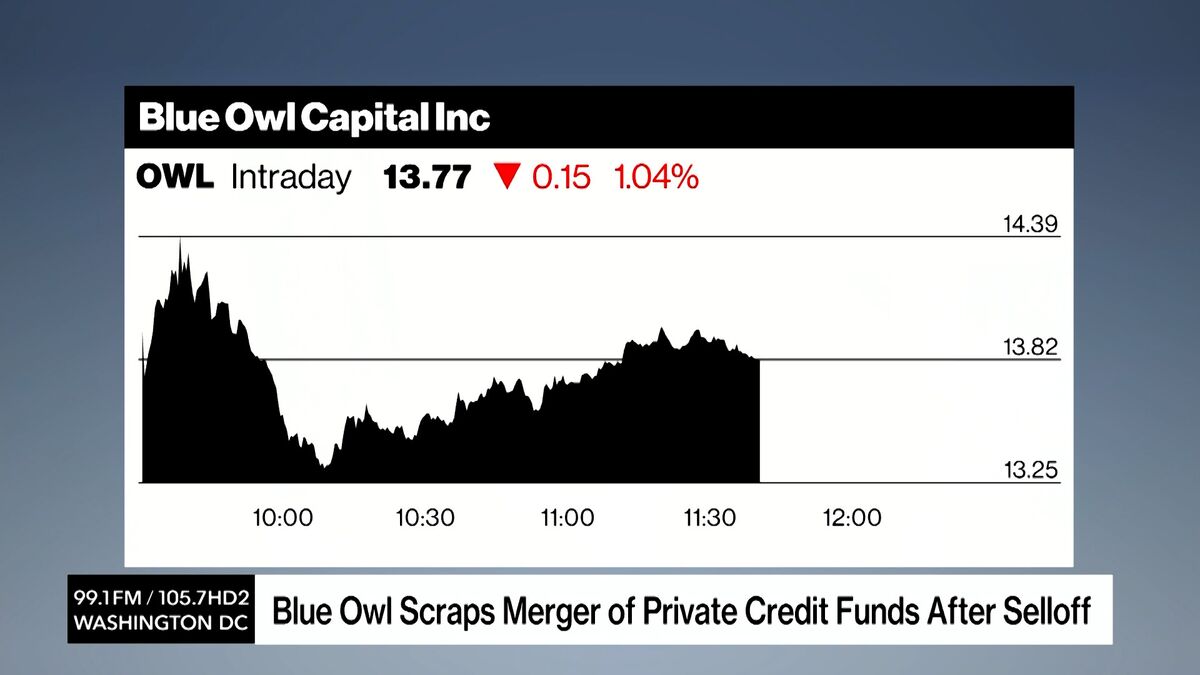 Blue Owl Scraps Merger of Private Credit Funds After Selloff