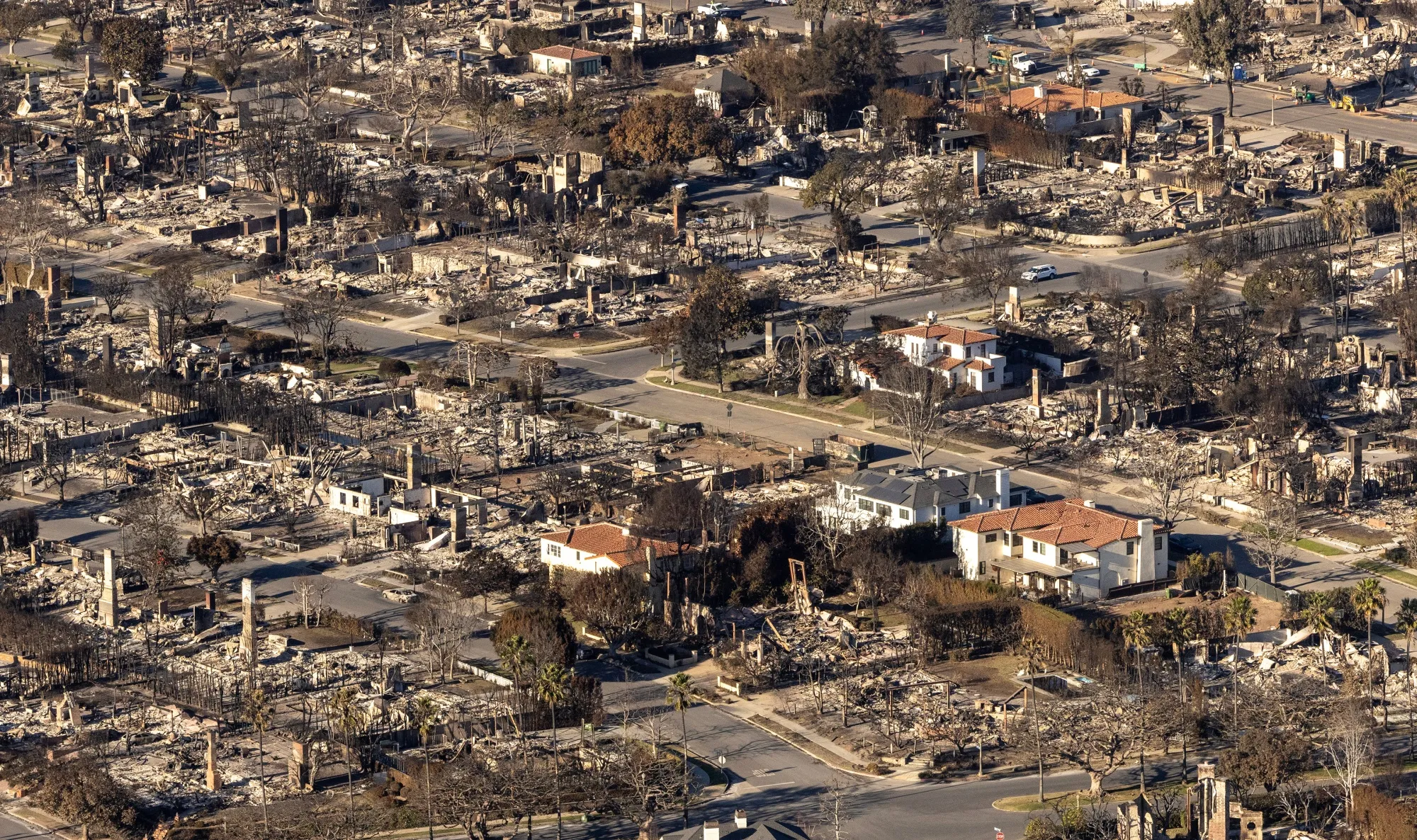 A few homes remain intact in a neighborhood destroyed by the Palisades Fire in the Pacific Palisades area of Los Angeles on Jan. 15.