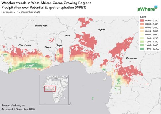 Ghana Cocoa Farmers Bemoan Dryness as Nation Holds Vote