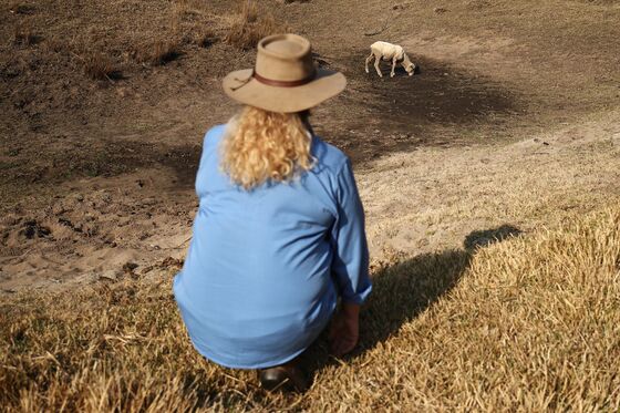 In a Country So Dry Even Cows Take Showers, Climate Change Gets Ignored