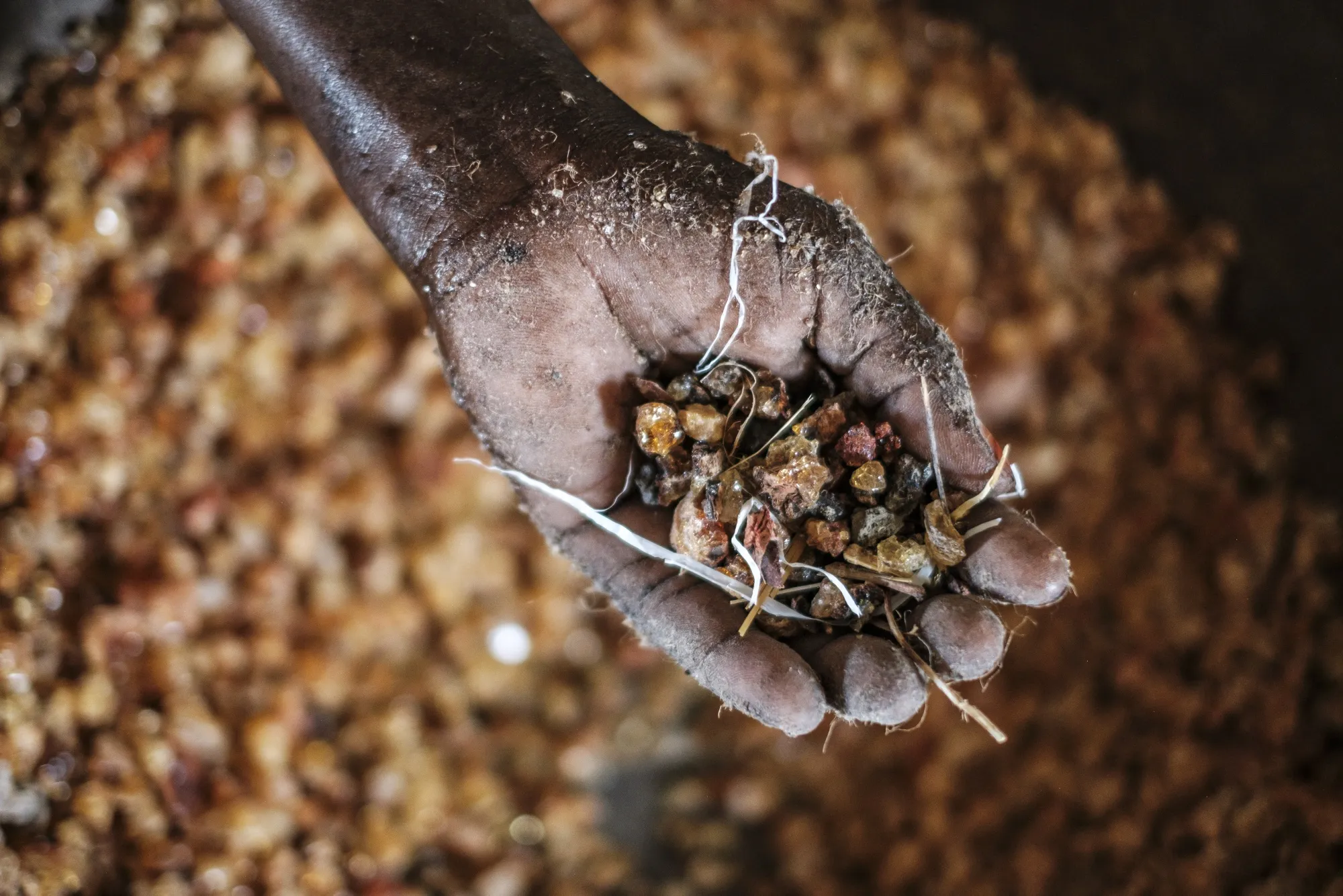 Pieces of gum arabic displayed in a warehouse of an exporting company&nbsp;in Port Sudan, Sudan, in October.